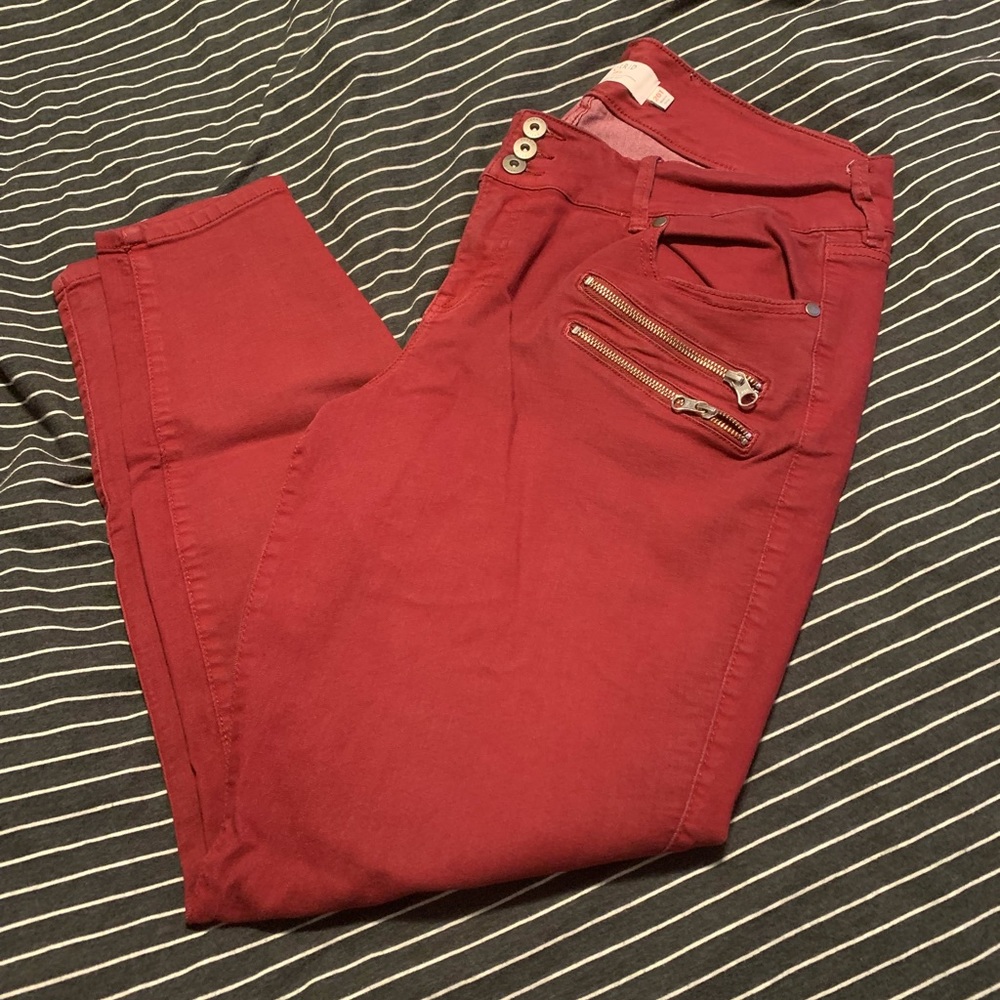 Torrid jeggings